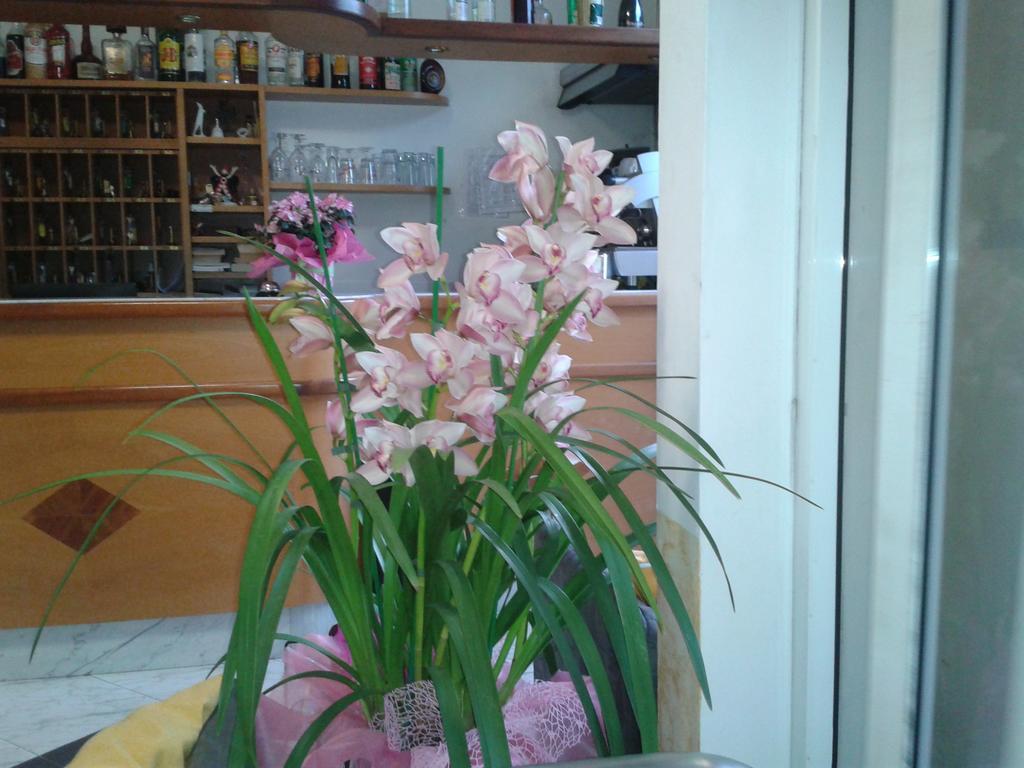 Hotel Sogno Viareggio Bagian luar foto